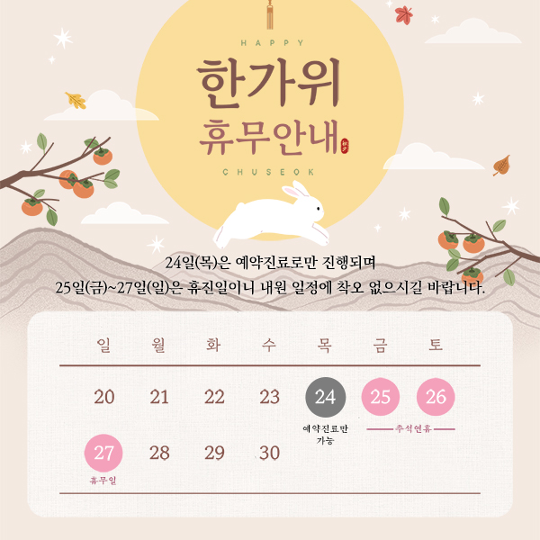 팝업이미지 PC